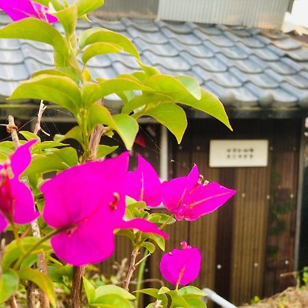 Guesthouse Nichinan - Vacation Stay 82905V エクステリア 写真
